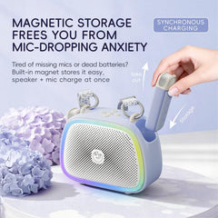 C22 Karaoke Wireless Speaker