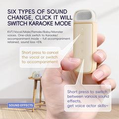 C22 Karaoke Wireless Speaker
