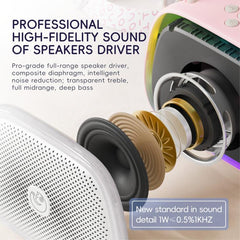 C22 Karaoke Wireless Speaker
