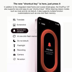 OnePlus 13T, 16GB+256GB, Screen Fingerprint ...