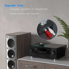 Receptor C39 Bluetooth 5.0 RCA a convertidor...