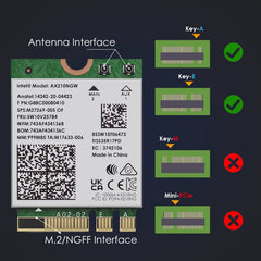 WAVLINK WN675X3M Módulo de tarjeta de red Wi...