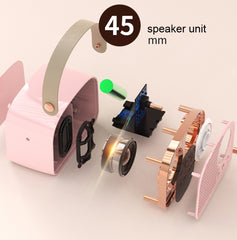 DW21 Vintage Radio BT altavoz compatible con...