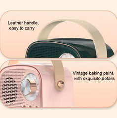 DW21 Vintage Radio BT altavoz compatible con...