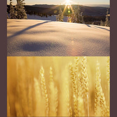 JUNESTAR Filtro de lente profesional 4 en 1 ...
