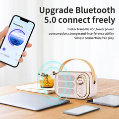 Altavoz Bluetooth de alta fidelidad DW13
