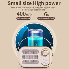 Altavoz Bluetooth de alta fidelidad DW13