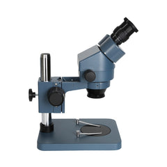 Microscopio digital binocular estéreo Kaisi ...