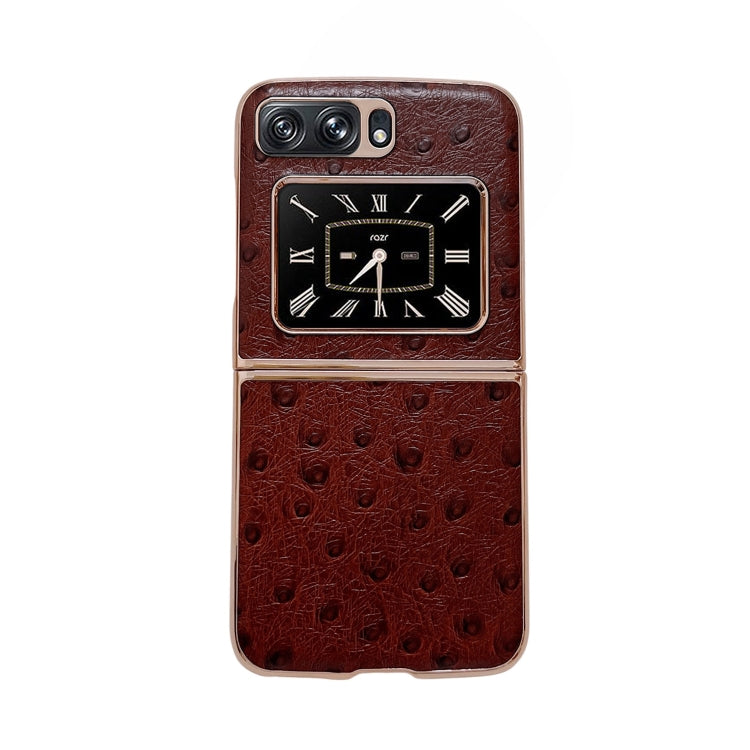 Estuche para teléfono con nanochapado en pie...