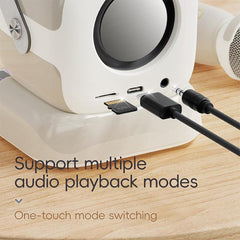 Altavoz Bluetooth mini karaoke C60