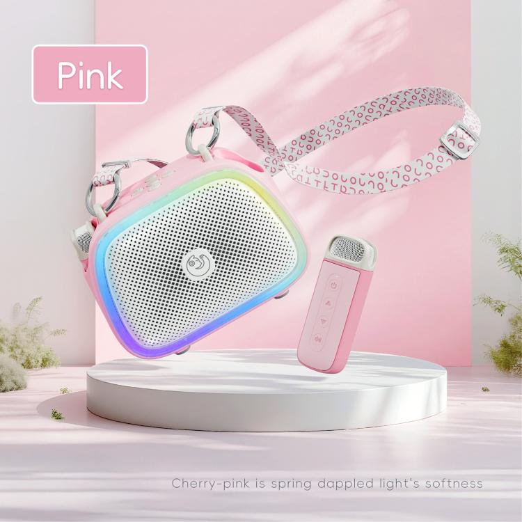 C22 Karaoke Wireless Speaker