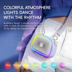 C22 Karaoke Wireless Speaker
