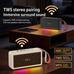 Altavoz Bluetooth PZ009