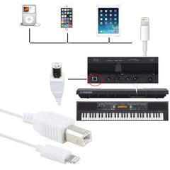 Adaptador de cable MIDI de 1 m, 8 pines a ti...