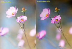 Filtros ND / Filtro de lente para cámara de ...