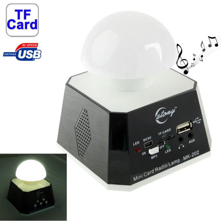 CT-0019 Altavoz con múltiples luces LED y radio FM