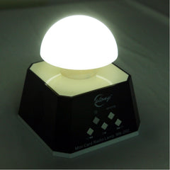 CT-0019 Altavoz con múltiples luces LED y radio FM