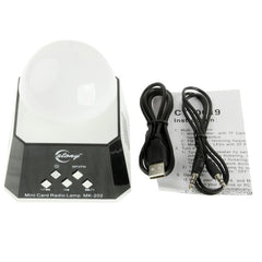 CT-0019 Altavoz con múltiples luces LED y radio FM