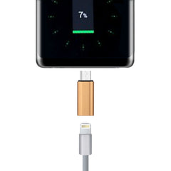 Adaptador hembra de 8 pines a USB-C/tipo-C macho