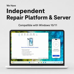 Programador de reparación de batería de matr...