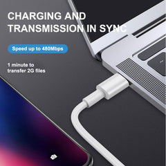 PD20W USB-C / Type-C a cable de datos de sin...