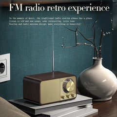 Altavoz retro inalámbrico BT5.0 JY-66