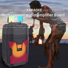 NewRixing NRG401C Altavoz inalámbrico de kar...