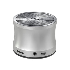 Altavoz Bluetooth de metal portátil EWA A109 Pro