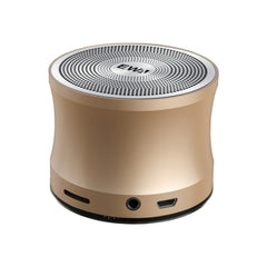 Altavoz Bluetooth de metal portátil EWA A109 Pro