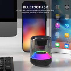 ENKAY Hat-Prince Altavoz Bluetooth inalámbri...