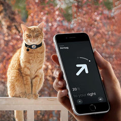 Estuche protector impermeable para collar de mascotas AirTag Tracker